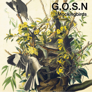 GOSN_Mockingbirds_cover1
